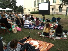 Szabadtéri filmvetítés Szegeden
