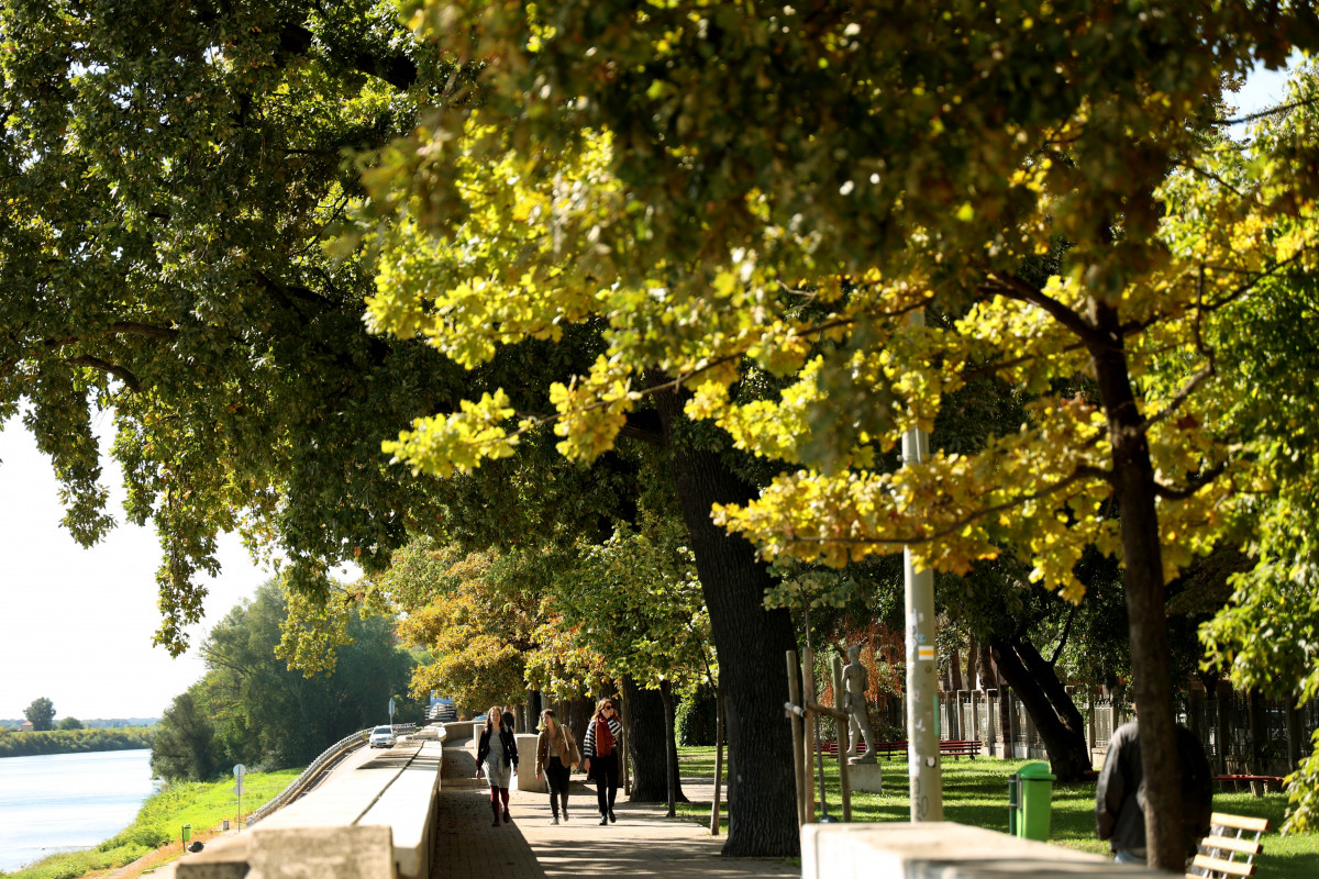 Ősz Szeged