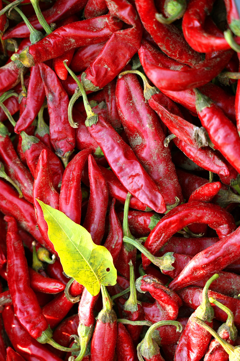 fűszerpaprika, gazdaság