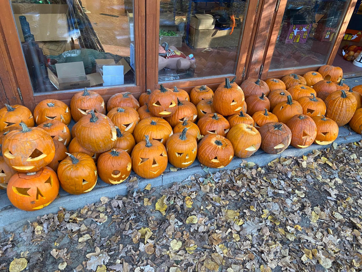 Szegedi Vadaspark halloween