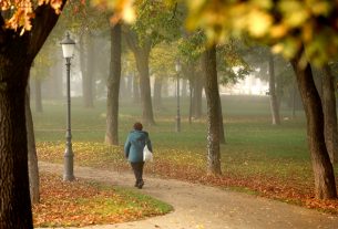 köd, ősz, időjárás, Szeged, park, séta