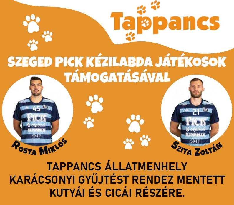 Tappancs Pick