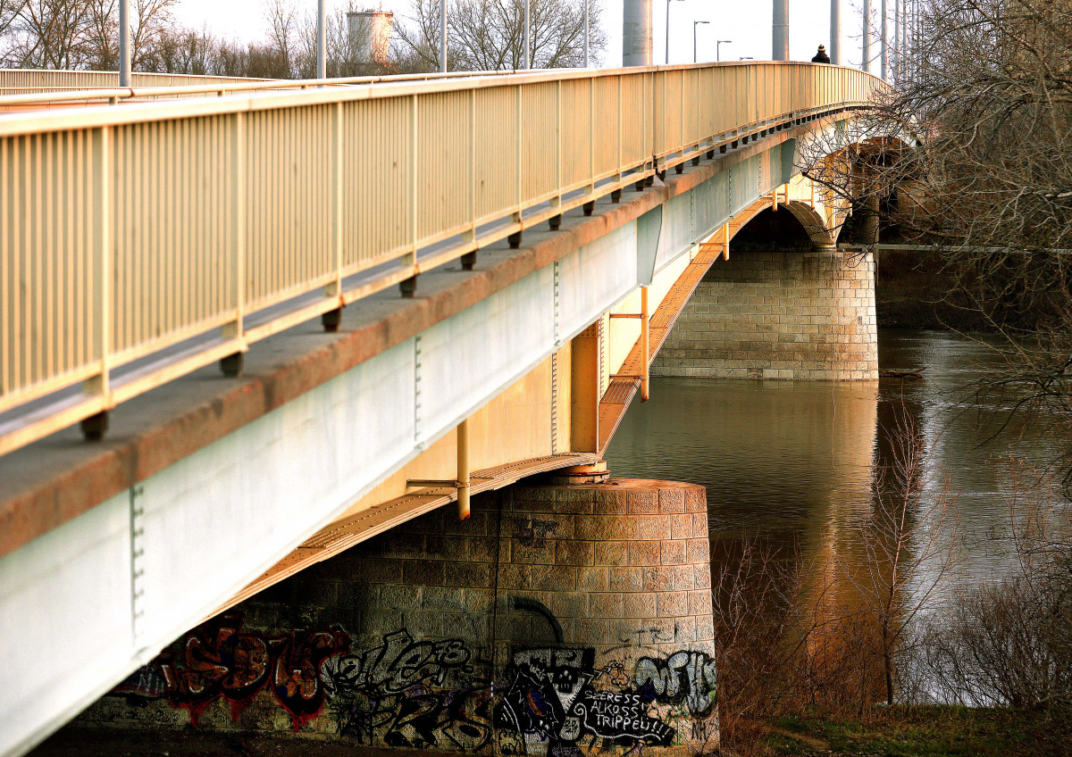 Szeged, Bertalan híd, Tisza
