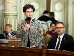 Szeged, közgyűlés, városháza, önkormányzat, önkormányzati képviselő, Szécsényi Rózsa
