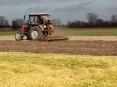 termőföld, föld, földterület, mezőgazdaság, termesztés, szánt, traktor, földművelés