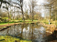 Szeged, Füvészkert, tavasz, virág, növény, fa, természet, kirándulás, turizmus