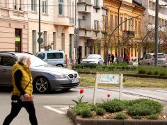 Szeged, Dugonics tér, zöld város, autó