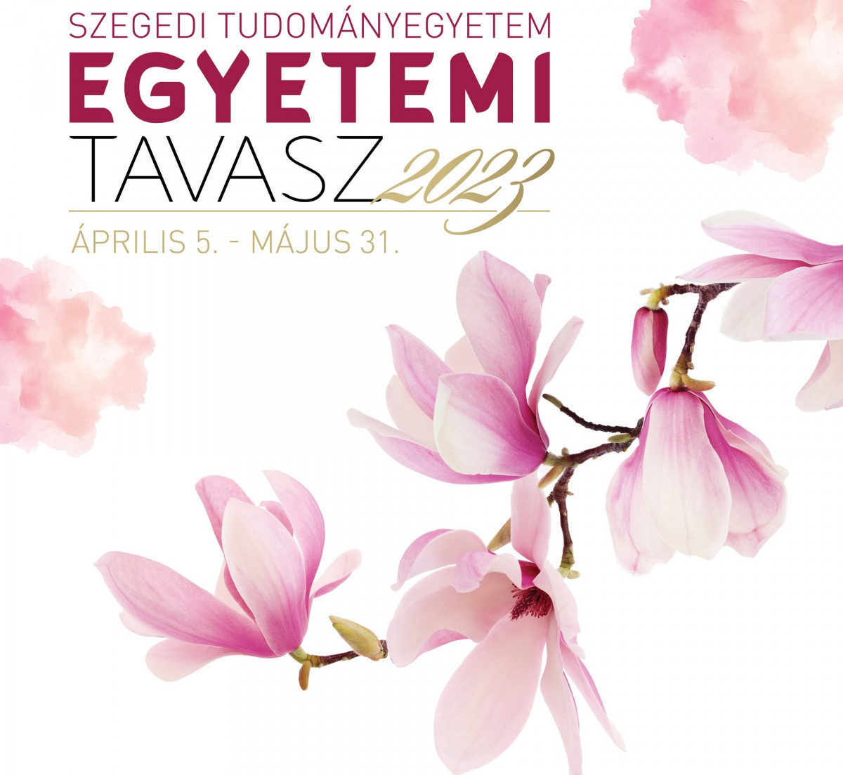 Egyetemi tavasz