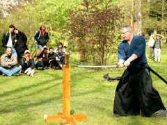 Szeged, cseresznyefa virágzás, Füvészkert, Japánkert, Hanami, természet, tavasz, turizmus