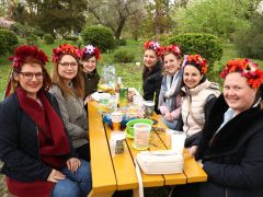 Szeged, cseresznyefa virágzás, Füvészkert, Japánkert, Hanami, természet, tavasz, turizmus