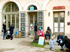 Szeged, Jarjabka Zoltán, barista, Kék Elefánt kávézó, kávézó, kávé, vendéglátás