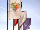 Algyő, zászló, címer, település, önkormányzat