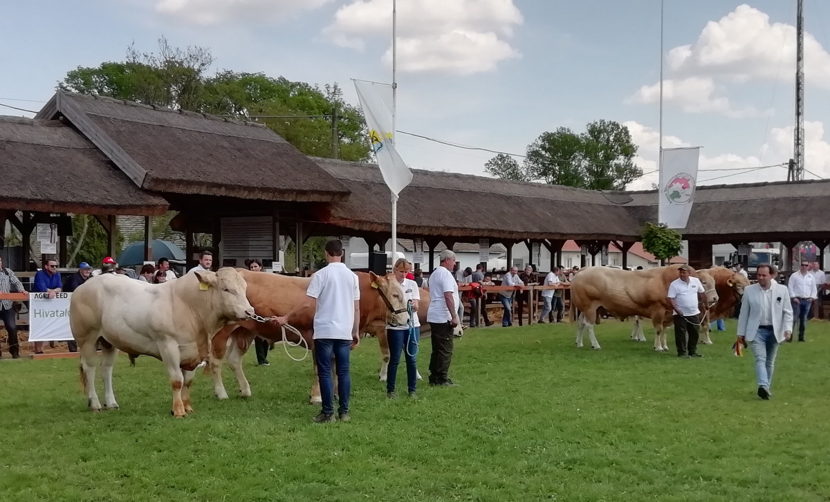 Alföldi Állattenyésztési és Mezőgazda Napok