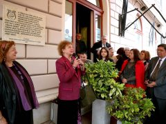 Szeged, Virág cukrászda, emléktábla, Klauzál tér, Virágh család
