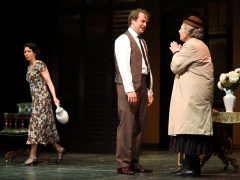 Szeged, Rokonok, színház, kultura, Szegedi Nemzeti Színház