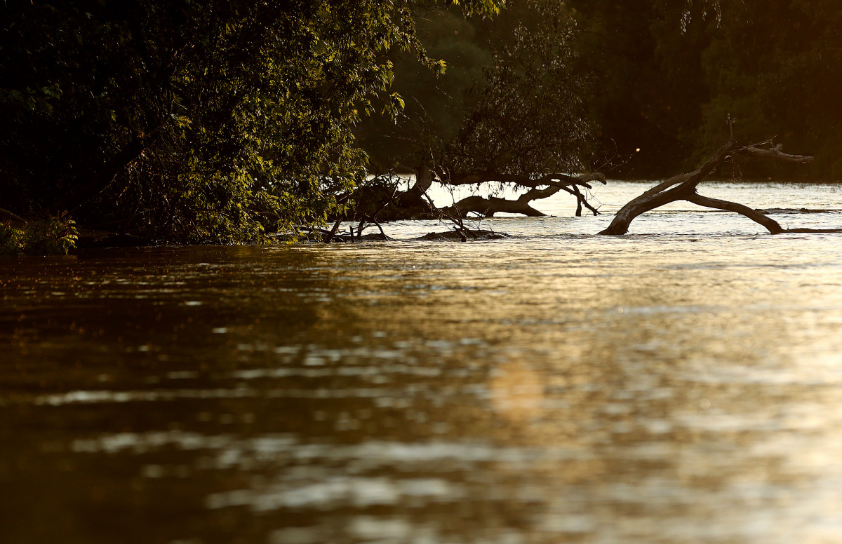 Szeged, Tisza, Maros, horgász, kérész, csónak, természet