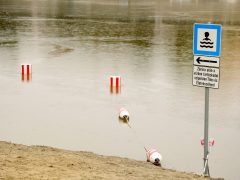 Szeged, Lapos Beach, Lapos, szabadsztrand, strand, Tisza, fürdés, nyár, vízimentő