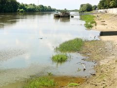 Szeged, Tisza part, Tisza, vízállás, alacsony vízállás