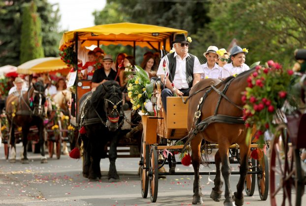 Szeged, Szőregi rózsaünnep, rózsa, felvonulás, virág, turizmus