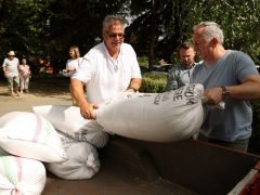 Szeged, Magyarok Kenyere, Búzagyűjtő nap, búza, gabona, kenyér, gazda, mezőgazdaság