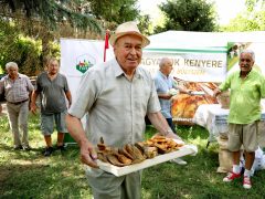 Szeged, Magyarok Kenyere, Búzagyűjtő nap, búza, gabona, kenyér, gazda, mezőgazdaság