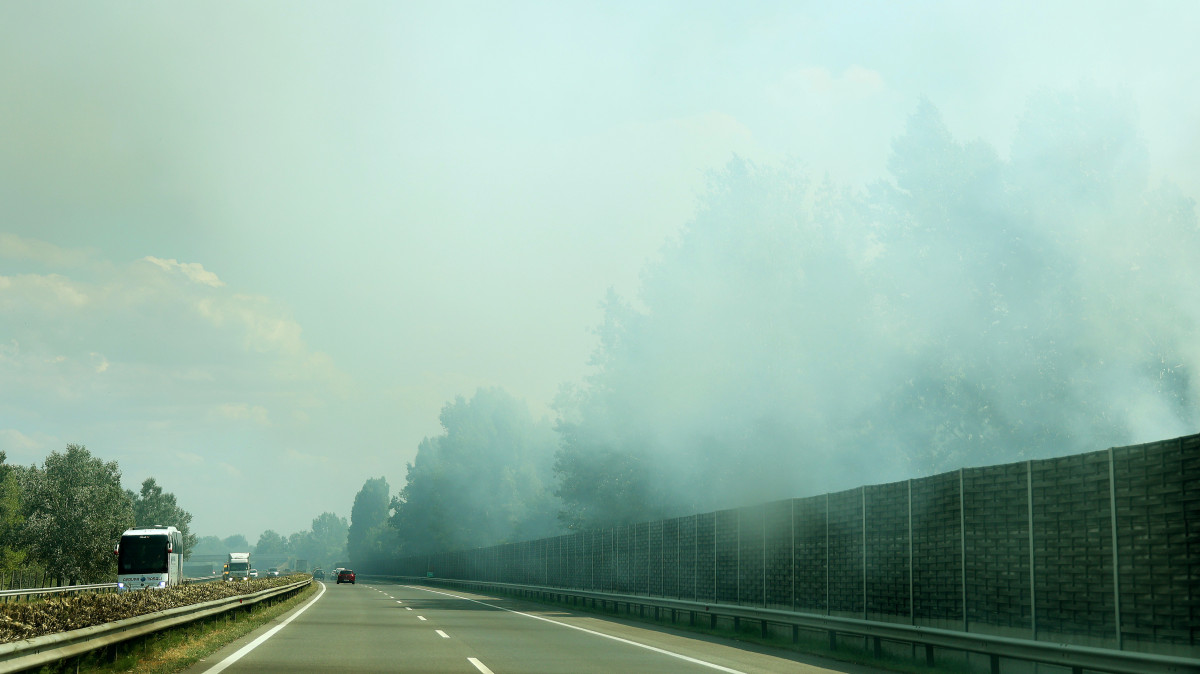 M5, autópálya, tűz, avar tűz, füst