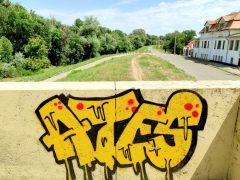 Szeged, graffiti, Bertalan híd, töltés, ártér, Újszeged