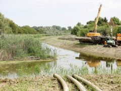 Szeged, Gyálai Holt-Tisza, kármentesítés, Holt-Tisza, kotrás, iszap, markoló