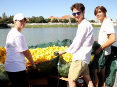 Szeged, Rotary, jótékonysági gumikacsa verseny, gumikacsa, Tisza
