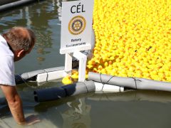 Szeged, Rotary, jótékonysági gumikacsa verseny, gumikacsa, Tisza