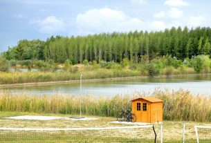 Sándorfalva, Nádastó Szabadidőpark, élővíz, strand, horgásztó, tó, nádas, természet