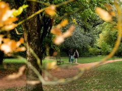 Szeged, Tök Jó Nap, Füvészkert, tök, tökfaragás, sütőtök, természet, turizmus