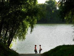 Szeged, ősz, időjárás, október, séta, természet, Tisza part, Tisza