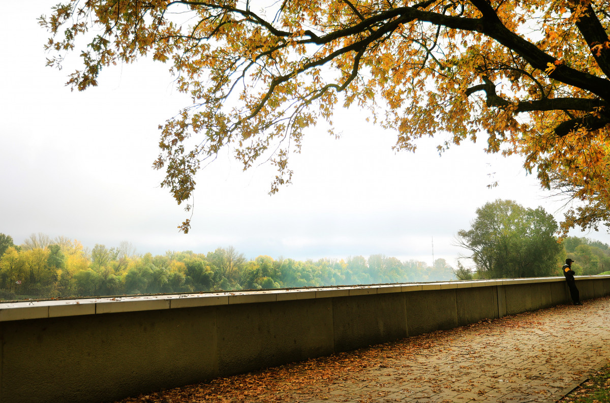 Szeged, borongós, eső, időjárás, november, ősz