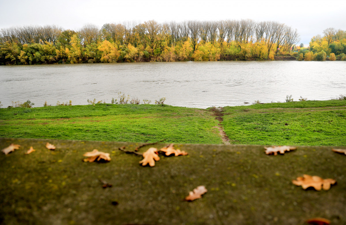 Szeged, borongós, eső, időjárás, november, ősz