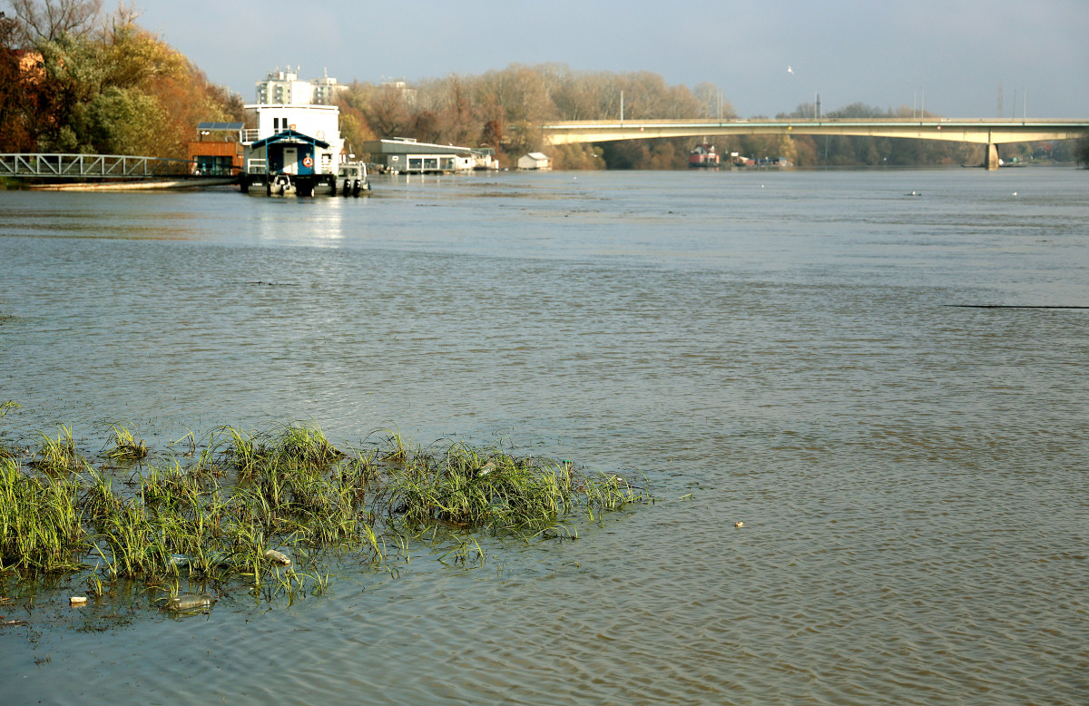 Szeged, esőzés, Tisza, áradás, folyó