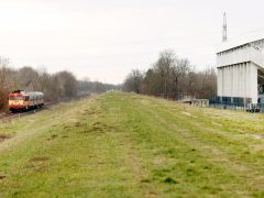 Szeged, Szent Gellért Fórum, stadion, véderdő, fejlesztés, fakivágás, fa, erdő