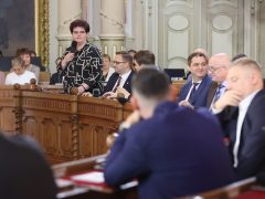 Szeged, közgyűlés, városháza, önkormányzat, önkormányzati képviselők, Szécsényi Rózsa
