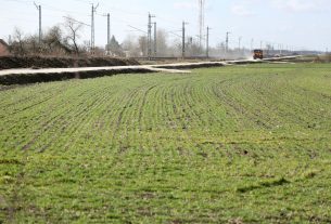 Röszke, szántó föld, föld, természet, időjárás