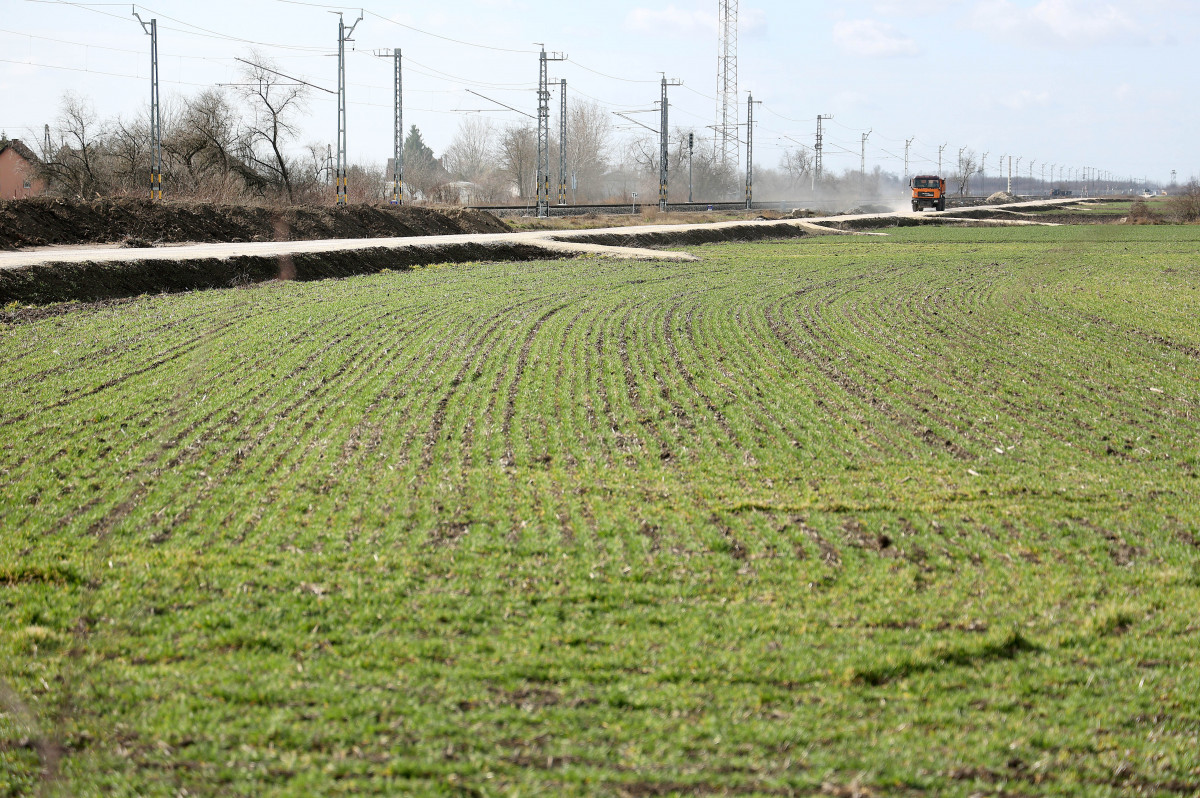 Röszke, szántó föld, föld, természet, időjárás