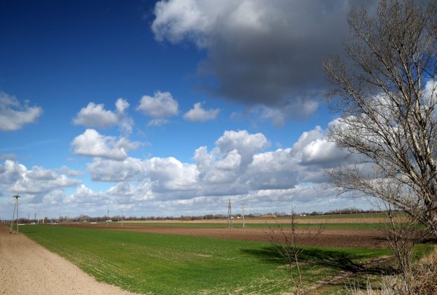 Röszke, szántóföld, föld, természet, időjárás, felhő