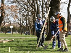 Szeged, Mátyás tér, fejlesztés, önkormányzat, Kovács Tamás