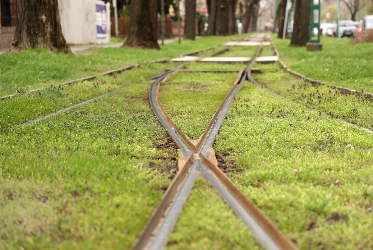 Szeged, villamos, sín, közlekedés, tömegközlekedés, 4-es villamosvonal, felújítás, Koromné Fenyvesi Rózsa, Makrai László, Petőfi Sándor sgt.