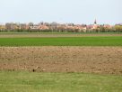 Szeged, szántóföld, Röszke, föld, mezőgazdaság