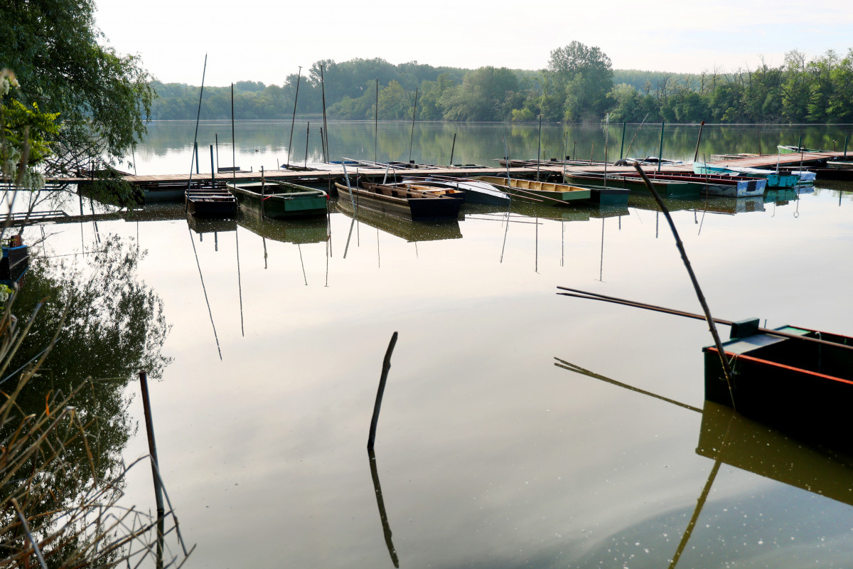 Algyő, Atkai-holtág, természet, Tisza, stég, csónak