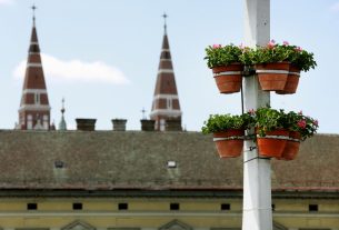 Szeged, virág, muskátli, ültetés, virágos Szeged, Belvárosi híd, városháza