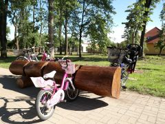 Szeged, játszótér, Kállay liget, családi nap, park, erdő, fa