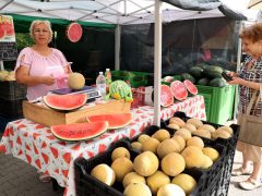 Szeged, dinnye, Mars téri piac, piac