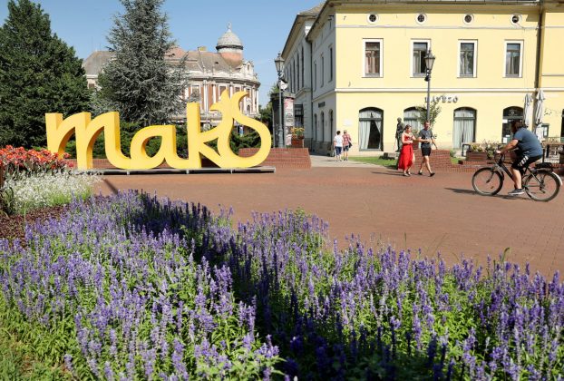 Makó, belváros, nyár, virág