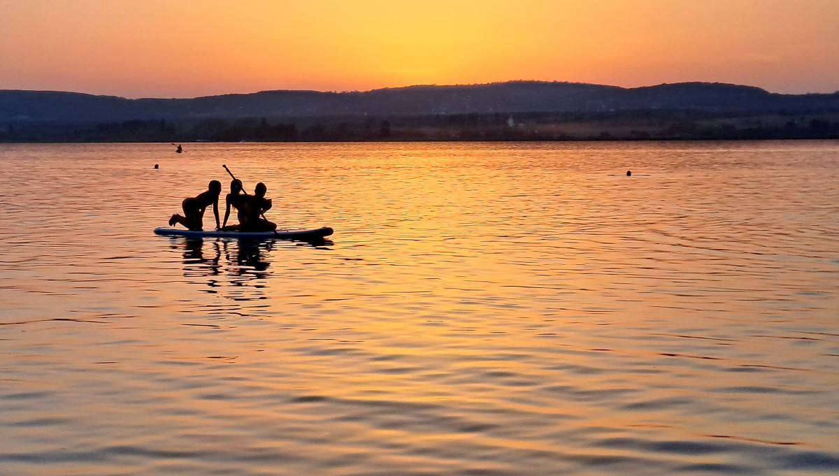 Balaton. Kutatás.